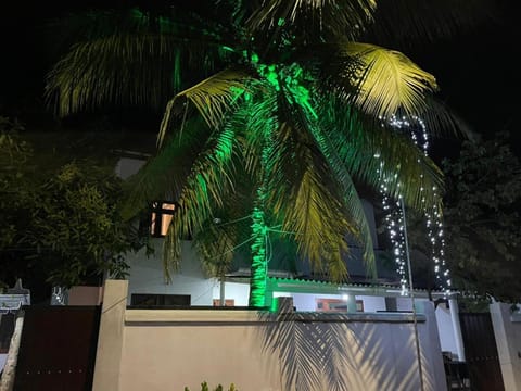 Night, Garden view