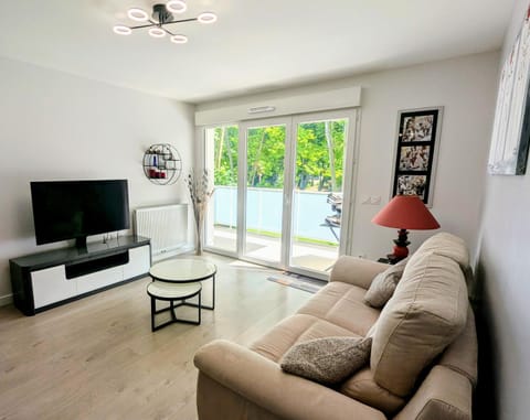 Communal lounge/ TV room, TV and multimedia, Living room
