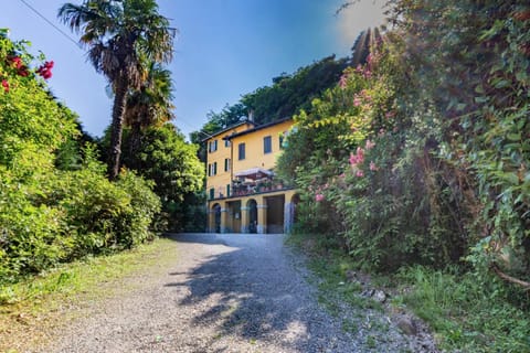 Property building, Garden view