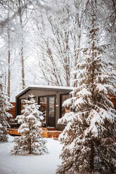 Property building, Day, Natural landscape, Winter