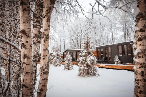 Aava Riverside Nature lodge in Rovaniemi