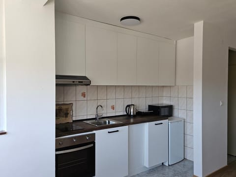 Kitchen or kitchenette, dishwasher, oven, stove