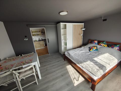 Bed, Living room, Photo of the whole room, Seating area, Dining area, Bedroom, wardrobe