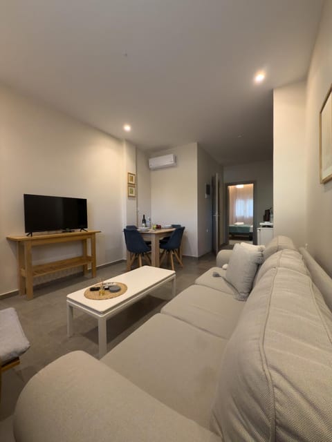 TV and multimedia, Living room, Photo of the whole room, Seating area, air conditioner