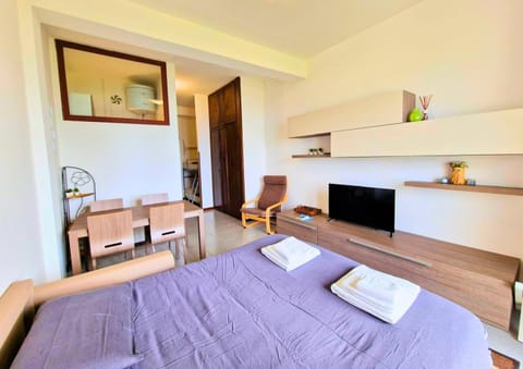 Bed, TV and multimedia, Living room, Photo of the whole room, Seating area, Bedroom, towels