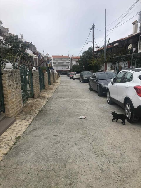 MIMINLLARI APARTMENt 1 Apartment in Halkidiki