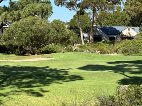 Golfers paradise on 25th green Apartment in Hermanus