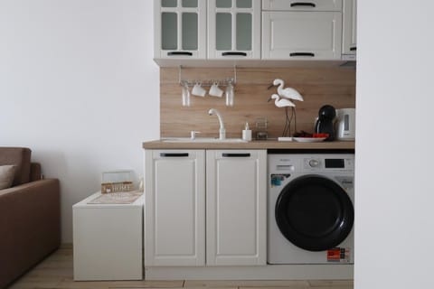Kitchen or kitchenette, washing machine