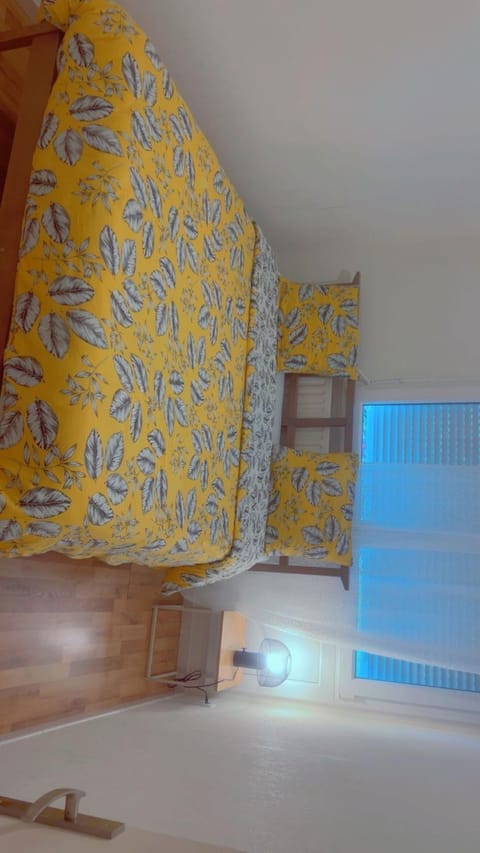 Le refuge urbain Apartment in Mulhouse