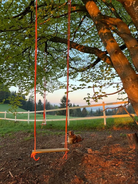Natural landscape, Garden