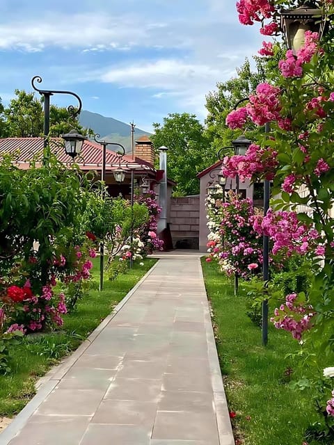 Day, Natural landscape, Garden, Garden view