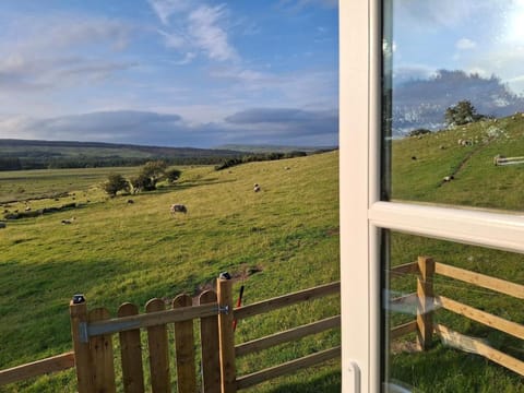 Wooly Huts Grey Apartment in County Mayo
