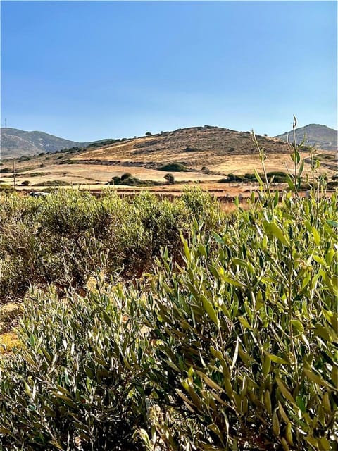 Natural landscape, Mountain view