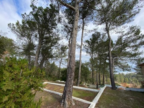 large swimming pool, 9 berths House in Saint-Maximin-la-Sainte-Baume