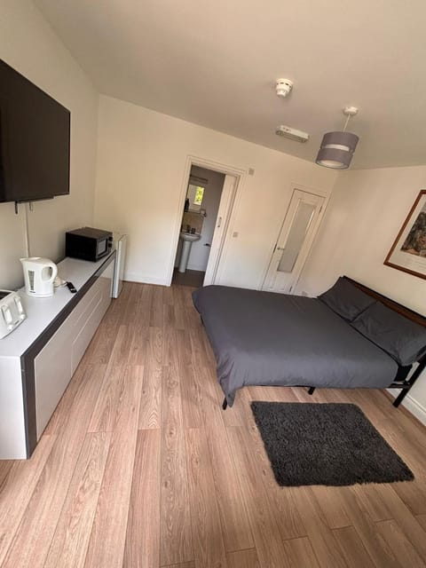 Bed, TV and multimedia, Kitchen or kitchenette, Photo of the whole room, Bedroom