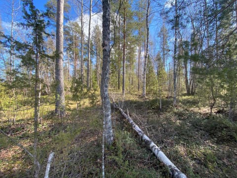 Natural landscape