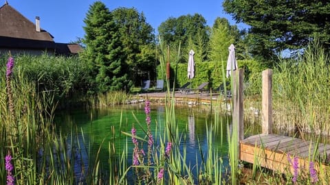 Spring, Day, Natural landscape, Garden, Garden view, Pool view, Swimming pool, Swimming pool