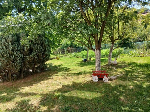 Natural landscape, Garden, View (from property/room), Garden view
