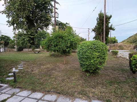 Spring, Day, Natural landscape, Garden, Garden view