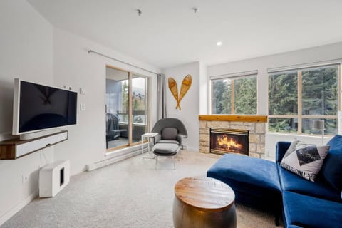 TV and multimedia, Living room, Seating area, fireplace