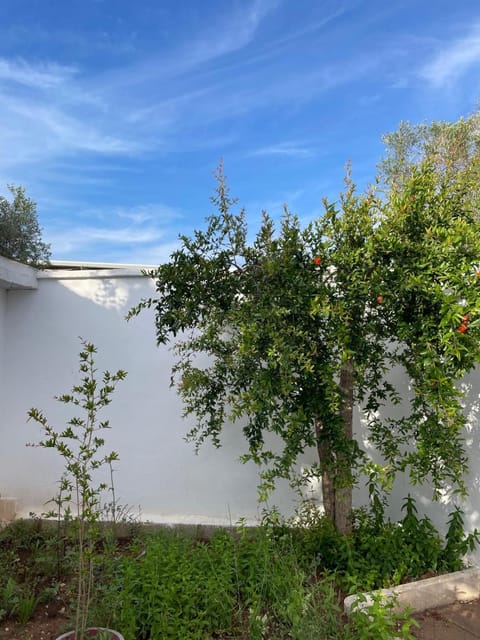 La Graziosa House in Porto Cesareo