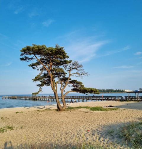 Nearby landmark, Natural landscape, Beach