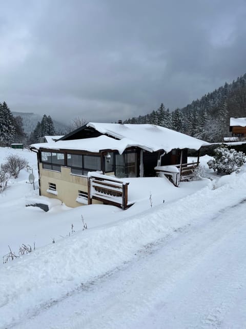 les biches du saut des cuves Chalet in Xonrupt-Longemer