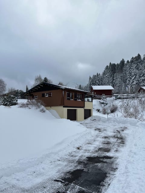 les biches du saut des cuves Chalet in Xonrupt-Longemer