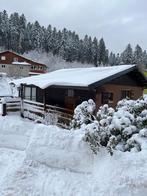 les biches du saut des cuves Chalet in Xonrupt-Longemer