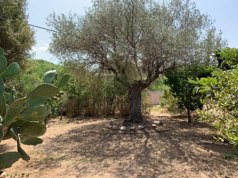 Hotel Club Ragno D'oro Hotel in Sardinia