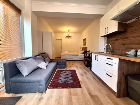 Kitchen or kitchenette, Photo of the whole room, Seating area