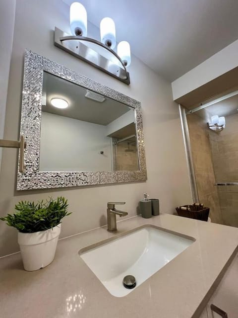 Medium Term Rental Close to Downtown Ottawa Apartment in Gatineau