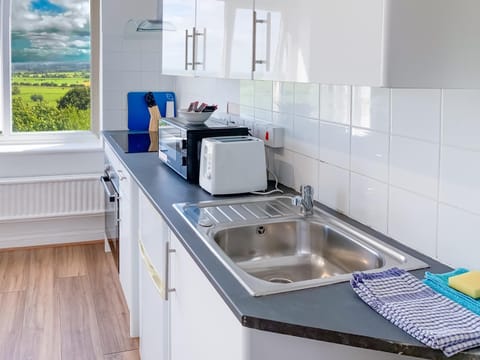 Kitchen or kitchenette, minibar, oven, stove, toaster