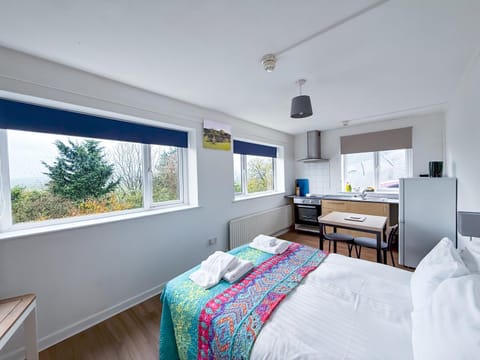 Bed, Kitchen or kitchenette, Photo of the whole room, Seating area, Dining area, Bedroom