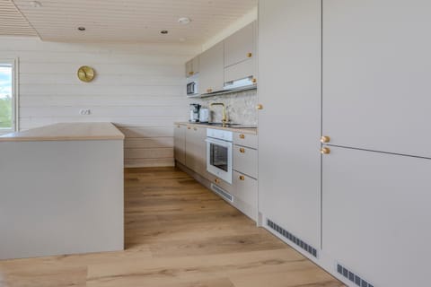 Kitchen or kitchenette, dishwasher, oven, stove