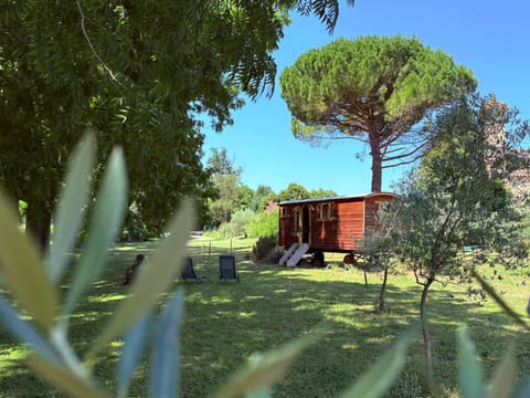 Day, Natural landscape, Garden