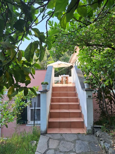Terrace on the green Apartment in Monterosso al Mare