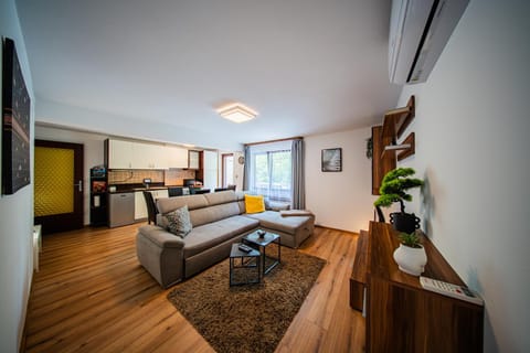 TV and multimedia, Kitchen or kitchenette, Living room, Photo of the whole room, Seating area, Dining area, Family, heating, internet, air conditioner