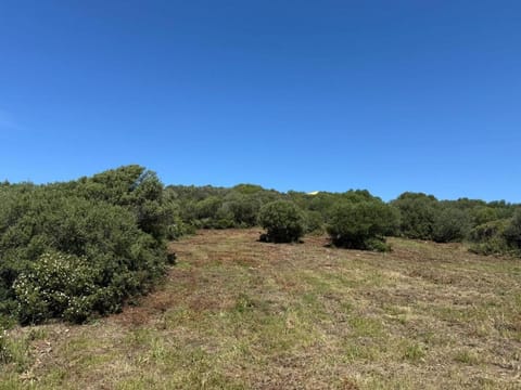 Casa Golfo Asinara,Ocean view, private pool, fully air-conditioned, secluded location Villa in Sardinia