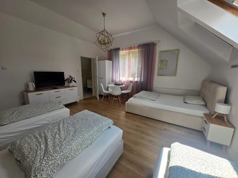 Pod Różą Apartment in Krakow