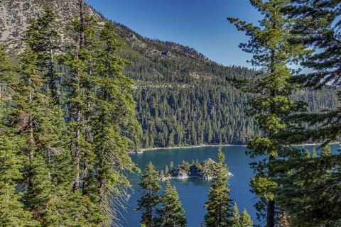 Everline 3-Unit Resort Condo, Corner Suite and View Apartment in Palisades Tahoe (Olympic Valley)