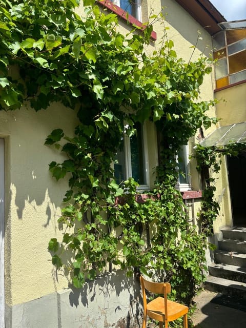 XXL Mega House 24 7 Check In Apartment in Rhineland-Palatinate