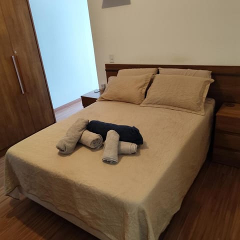 Apto grande Estilo e Conforto UFJF, Shopping, Centro Apartment in Juiz de Fora