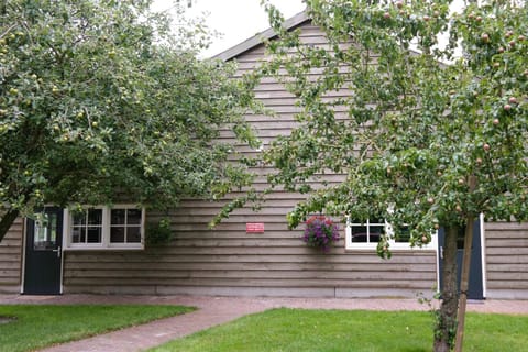Property building, Garden, Garden view