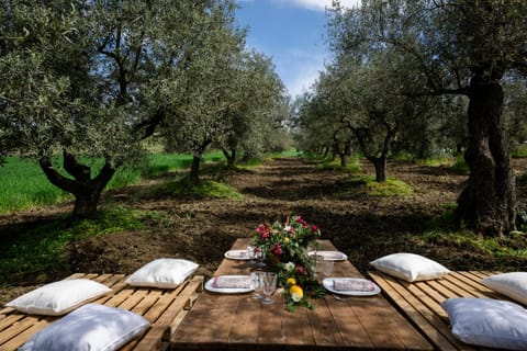 Spring, Natural landscape, Food, Breakfast