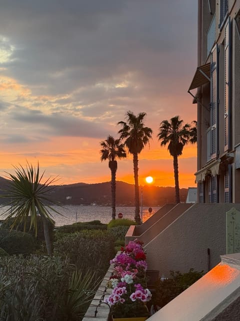 Sea view, Sunset
