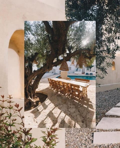 Natural landscape, Garden, Garden view, Pool view, Swimming pool