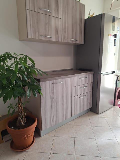 Kitchen or kitchenette, Facility for disabled guests, pet friendly, acessibility