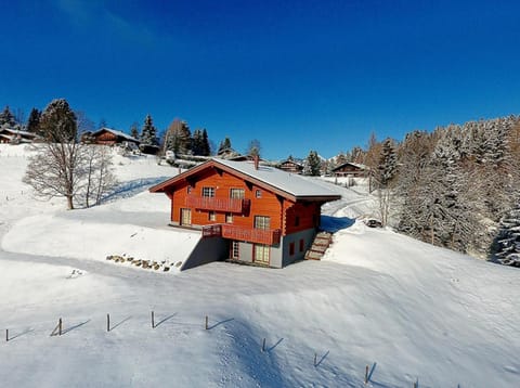 PetitChevrier - 6BR Spacious Chalet in Villars - Designed for Accessibility Chalet in Ollon
