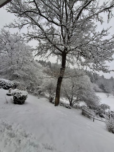 Ferienwohnung Natalia Bed and Breakfast in Thalfang